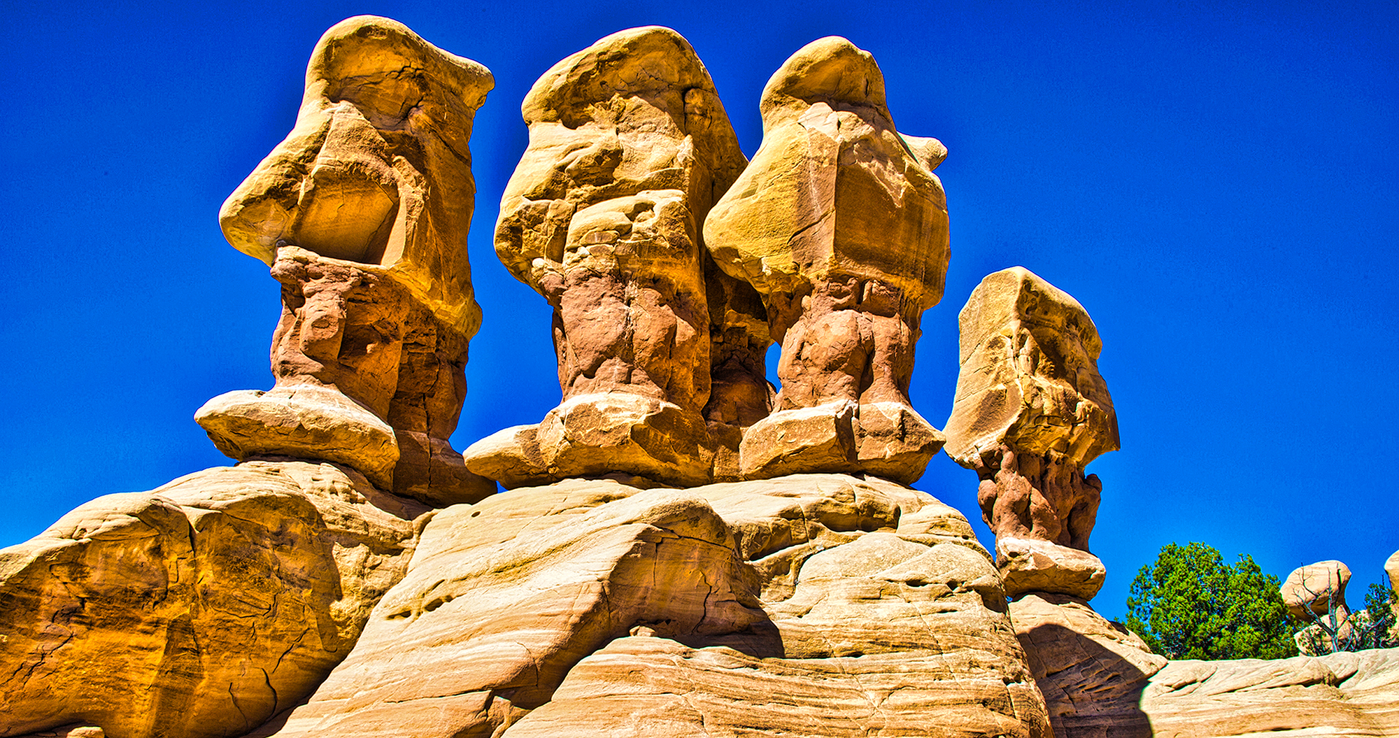 Hoodoo Noses